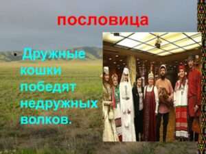 Поговорка дружные кошки недружных волков победили.