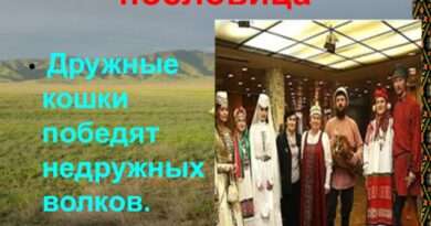 Поговорка дружные кошки недружных волков победили.. Смотреть фото Поговорка дружные кошки недружных волков победили.. Смотреть картинку Поговорка дружные кошки недружных волков победили.. Картинка про Поговорка дружные кошки недружных волков победили.. Фото Поговорка дружные кошки недружных волков победили.