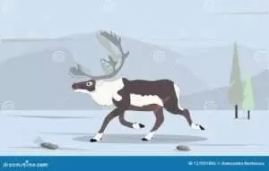 Даже бегущего оленя упрекнули: объяснение поговорки для детей