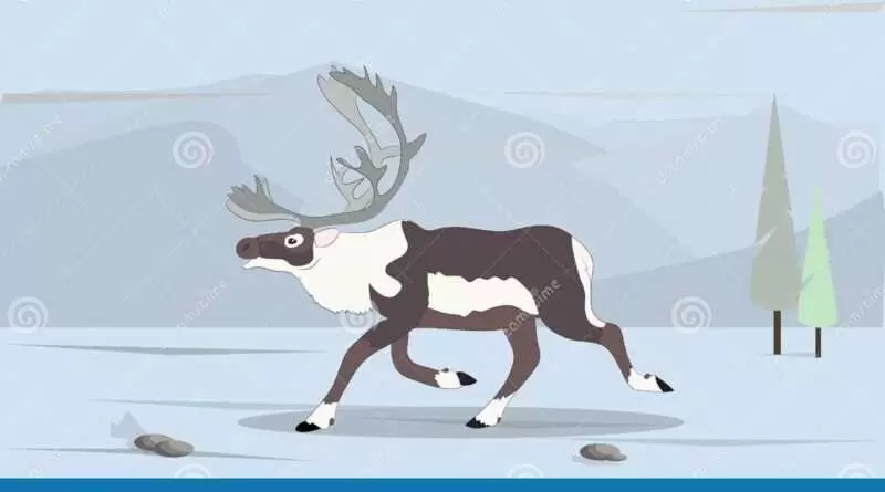 Даже бегущего оленя упрекнули: объяснение поговорки для детей. Смотреть фото Даже бегущего оленя упрекнули: объяснение поговорки для детей. Смотреть картинку Даже бегущего оленя упрекнули: объяснение поговорки для детей. Картинка про Даже бегущего оленя упрекнули: объяснение поговорки для детей. Фото Даже бегущего оленя упрекнули: объяснение поговорки для детей